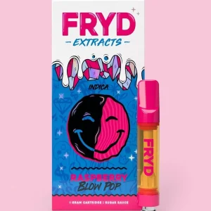 FRYD DISPOSABLE RASBERRY BLOW POP